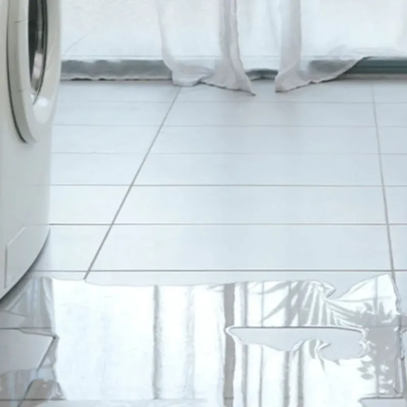 Appliance Leak Cleanup in Palm Beach, FL
